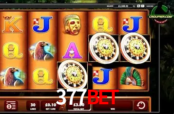 Interface Premium 377bet