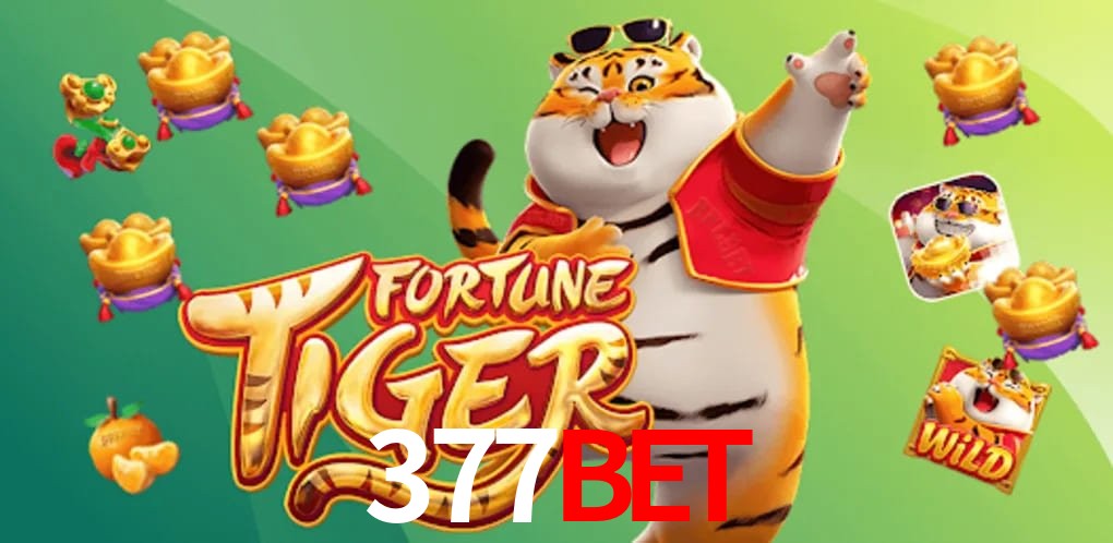 Football Betting 377bet